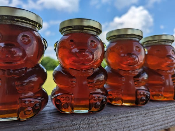 Four glass jars of Honey
