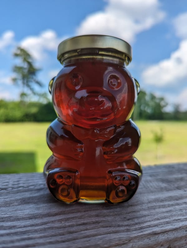 One Glass bear jar of honey