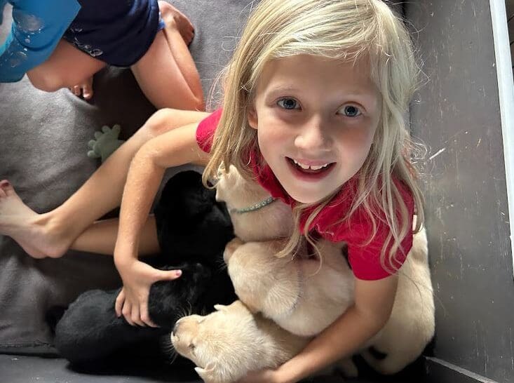 granddaughter holding five 28 day old puppies at once